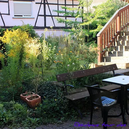 Plein Sud Vue Sur Les Vosges Et Le Vignoble