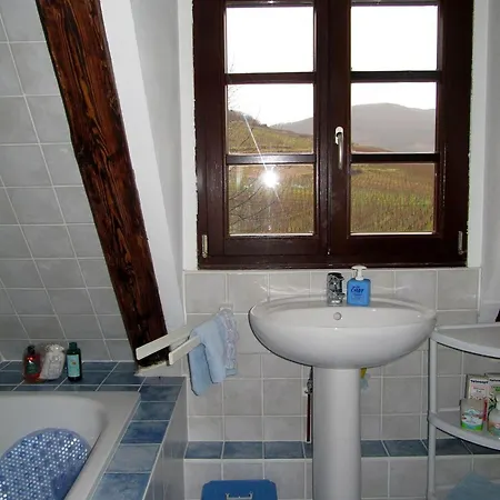 Plein Sud Vue Sur Les Vosges Et Le Vignoble *