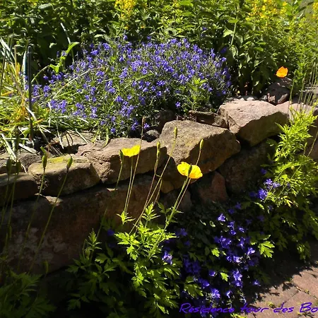 Plein Sud Vue Sur Les Vosges Et Le Vignoble