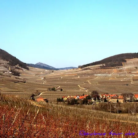 2bk-plein Sud Vue Sur Les Vosges Et Le Vignoble Daire Ammerschwihr