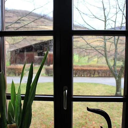 Plein Sud Vue Sur Les Vosges Et Le Vignoble Apartament Ammerschwihr