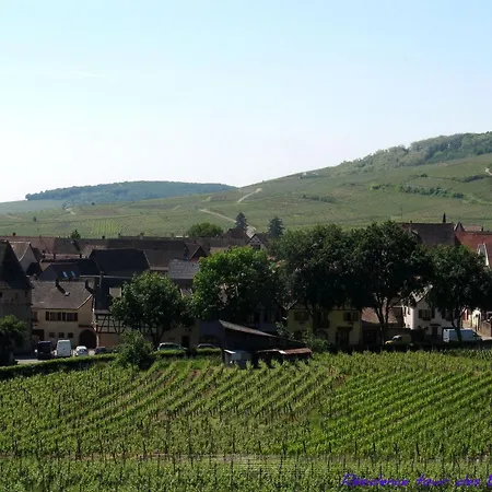 Residence Tour Des Bourgeois-Plein Sud Vue Sur Les Vosges Et Le Vignoble Ammerschwihr