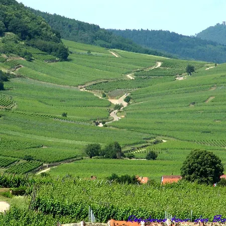 Apartament Plein Sud Vue Sur Les Vosges Et Le Vignoble *