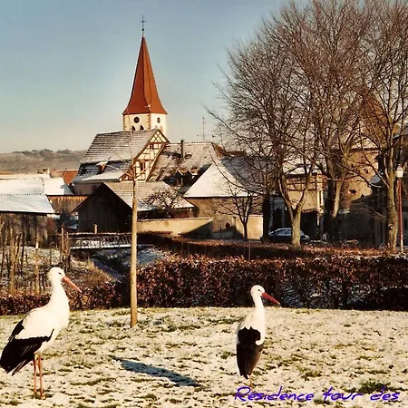 Residence Tour Des Bourgeois-Plein Sud Vue Sur Les Vosges Et Le Vignoble * Ammerschwihr