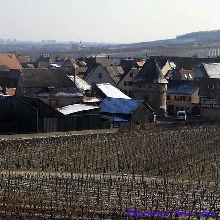 2bk-plein Sud Vue Sur Les Vosges Et Le Vignoble
