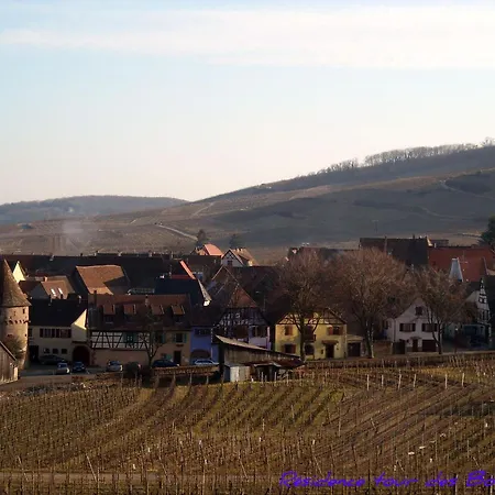 2bk-plein Sud Vue Sur Les Vosges Et Le Vignoble Daire *