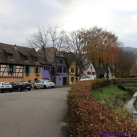 Plein Sud Vue Sur Les Vosges Et Le Vignoble Apartament Ammerschwihr