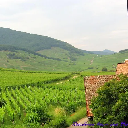 2bk-plein Sud Vue Sur Les Vosges Et Le Vignoble *