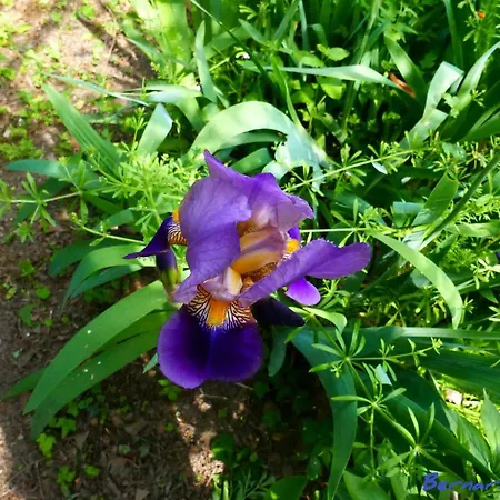 Plein Sud Vue Sur Les Vosges Et Le Vignoble Apartament