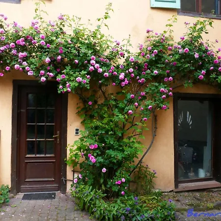 Plein Sud Vue Sur Les Vosges Et Le Vignoble Apartament *